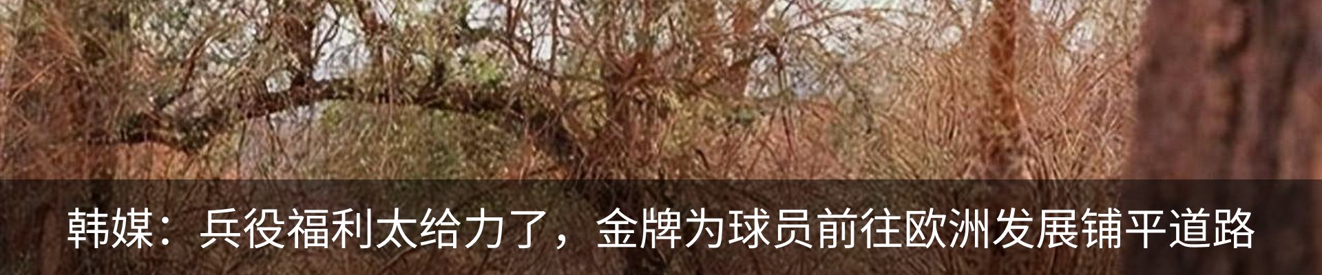 最新动态
